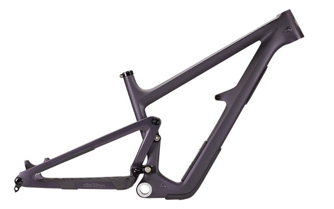Custom bike frame